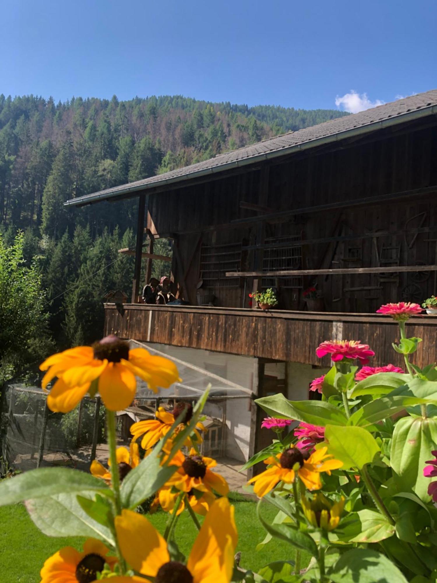 Thalerhof Leilighet San Lorenzo di Sebato Eksteriør bilde